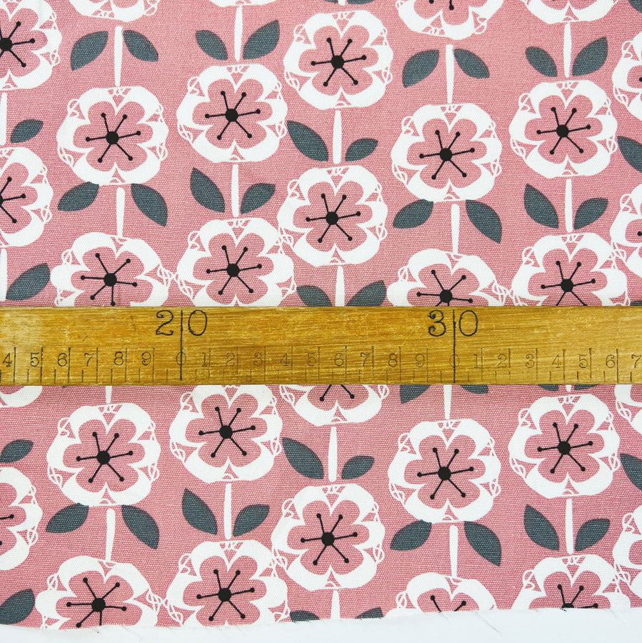 Canvas Print - Primrose Pink