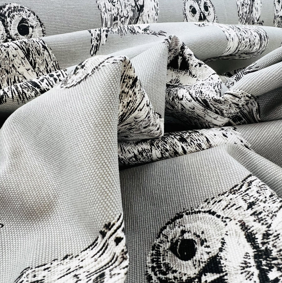 Canvas Print - Barny