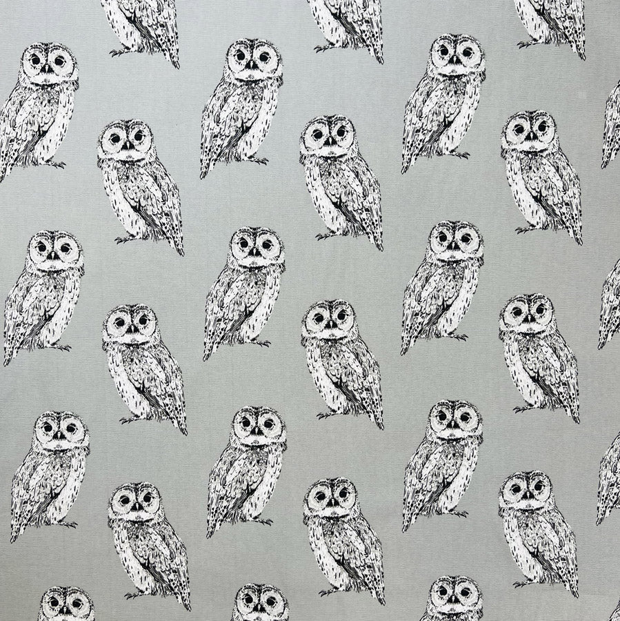 Canvas Print - Barny