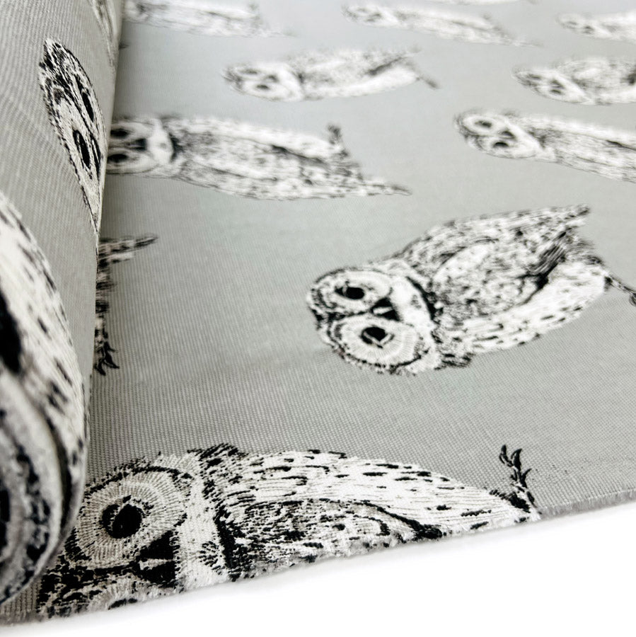 Canvas Print - Barny