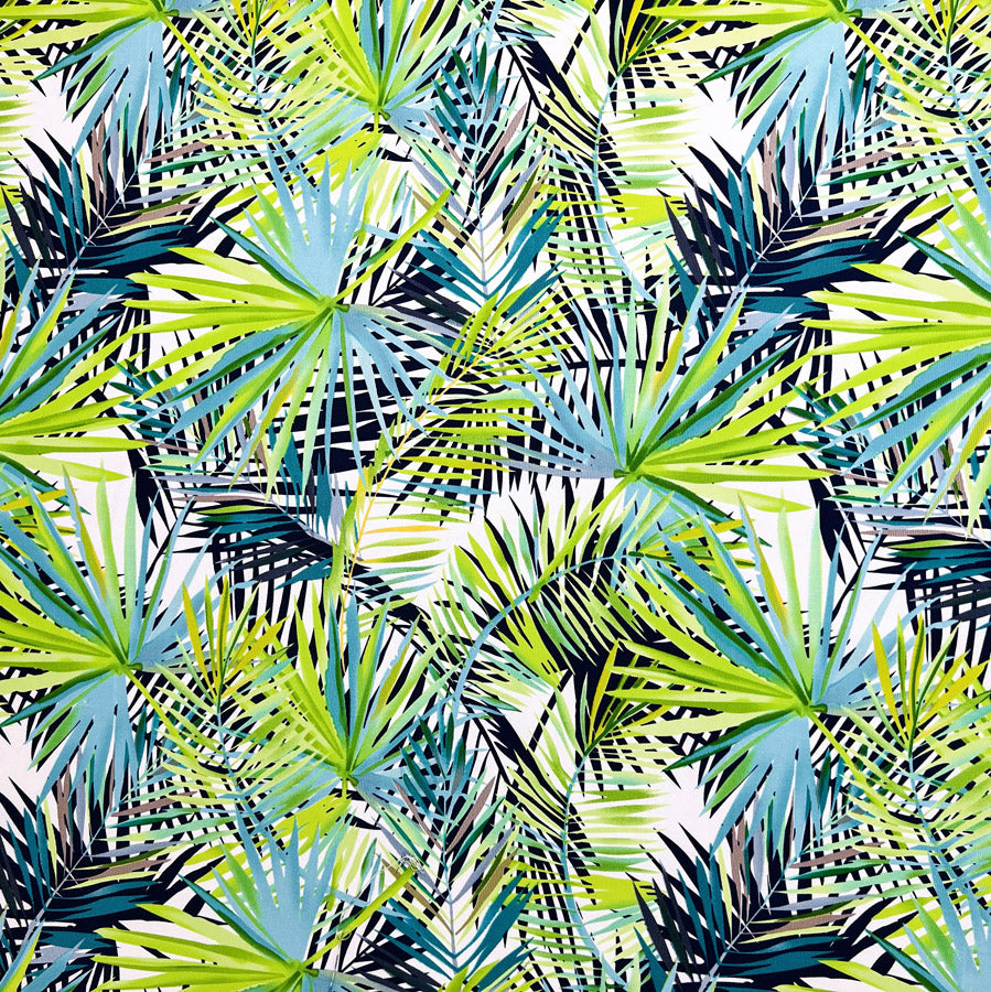 Canvas Print - Rainforest