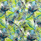 Canvas Print - Rainforest