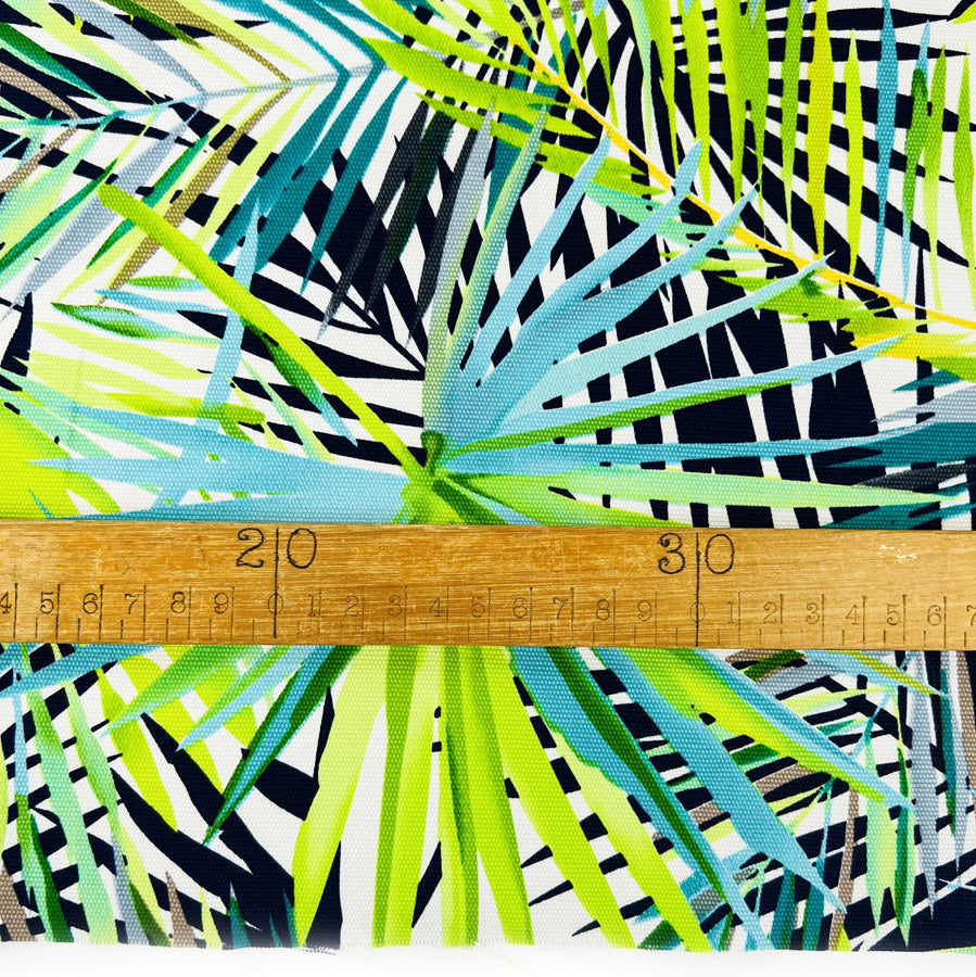 Canvas Print - Rainforest