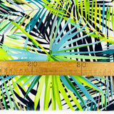 Canvas Print - Rainforest