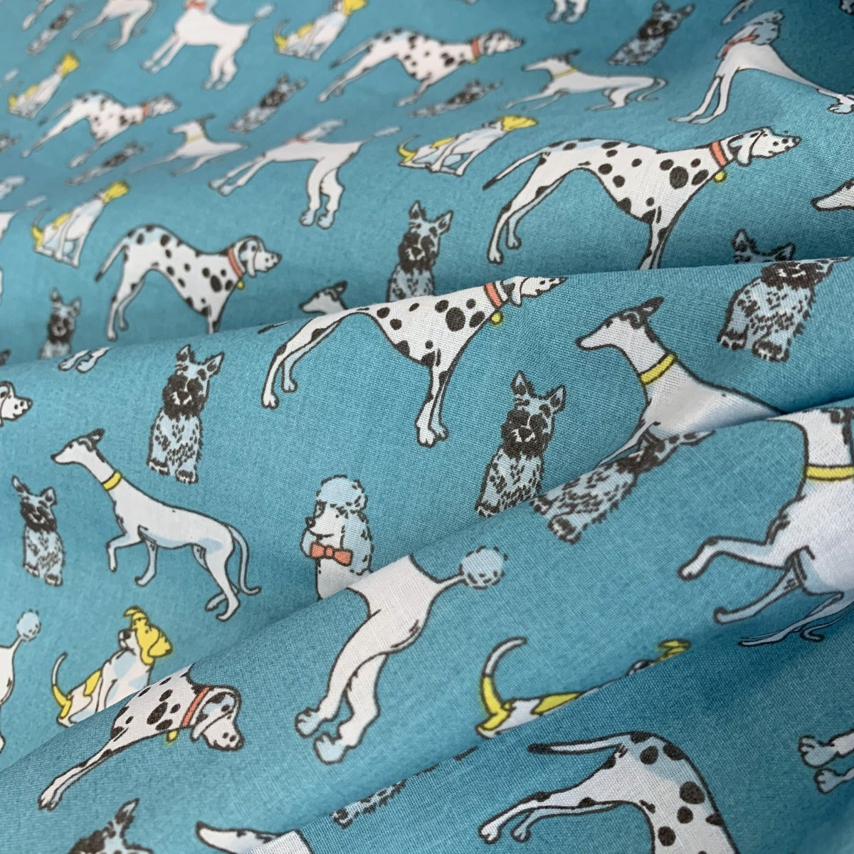 Put The Kettle On - Dogs - Turquoise