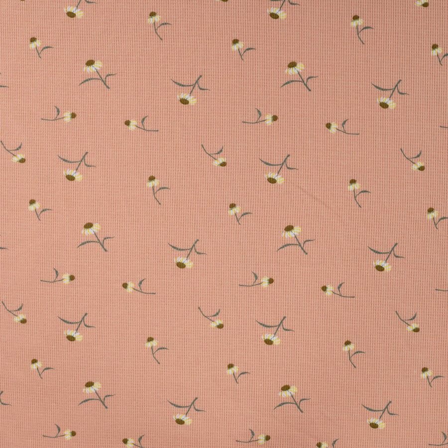 Qjutie - Waffle - Daisy