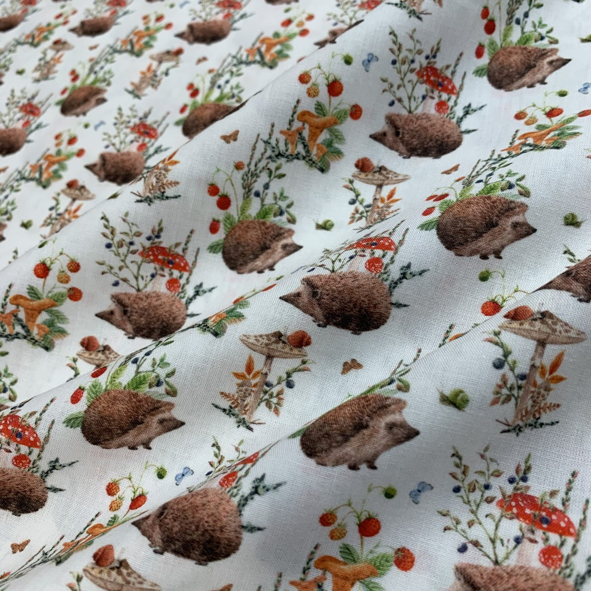 Cotton - Hedgehogs & Mushrooms