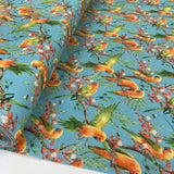 Cotton - Parrots - Aqua