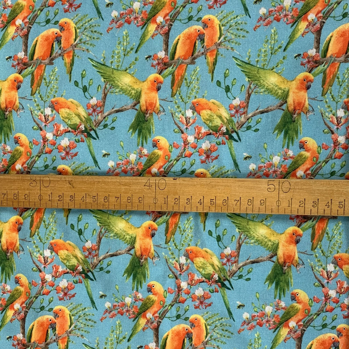 Cotton - Parrots - Aqua