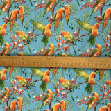 Cotton - Parrots - Aqua