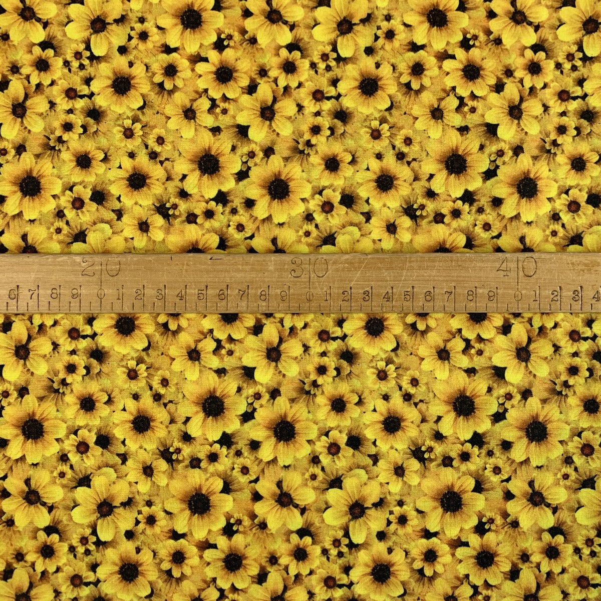 Cotton - Sunflower Field