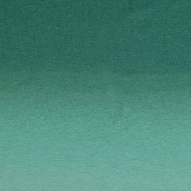 Cotton Jersey - Ombre Green