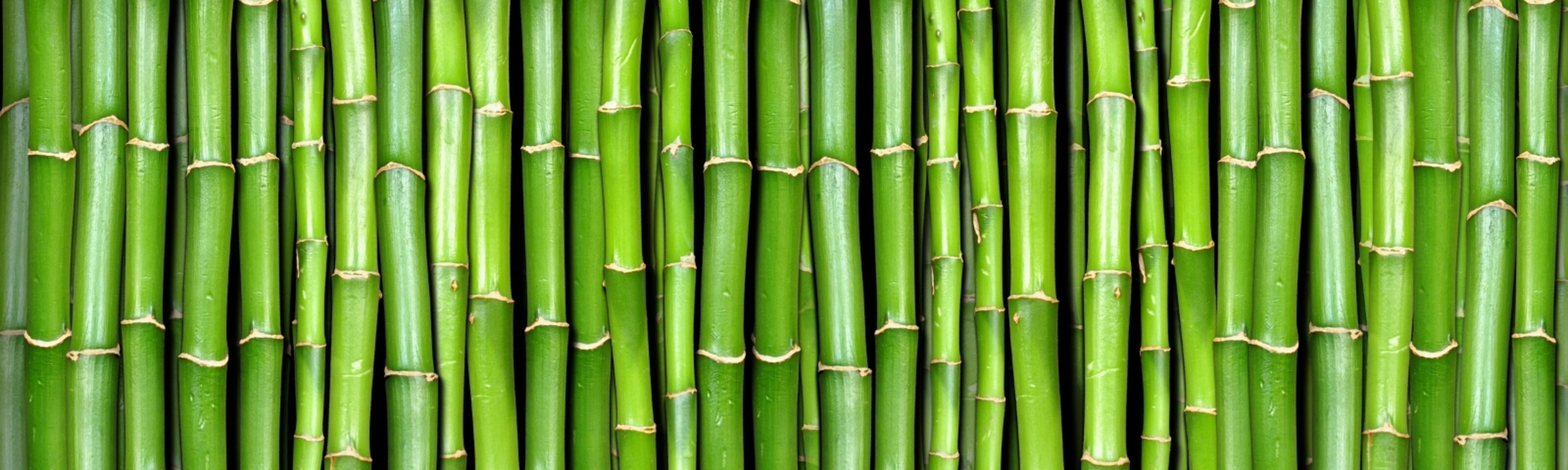 The Benefits of Bamboo Fabric: Why It's Good for You and the Planet