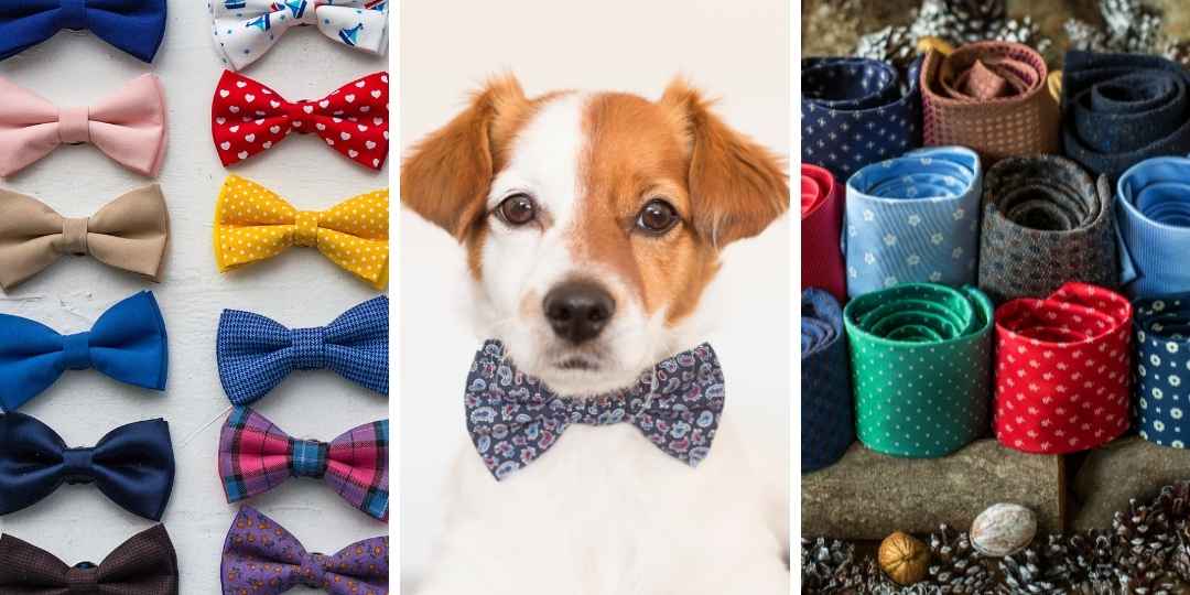 No-Sew Dog Bow Tie Collar Slide - Helpful Homemade