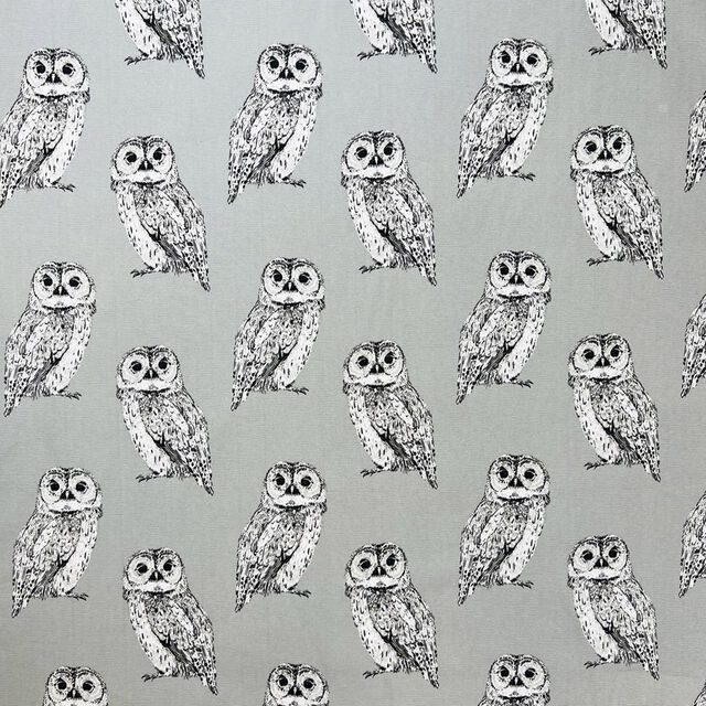 Canvas Print - Barny