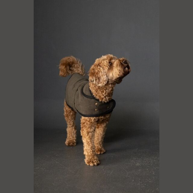 Merchant & Mills - Barka Dog Coat Pattern (UK XS-XL)