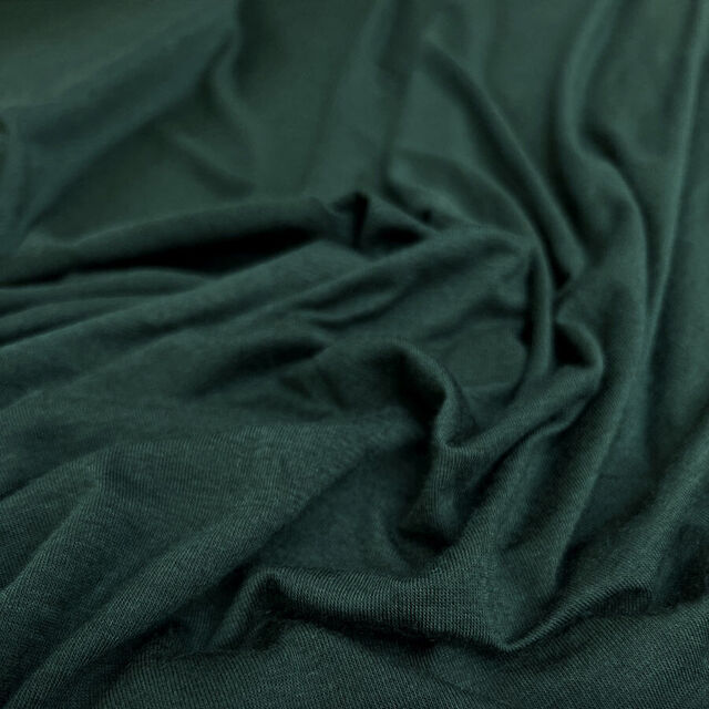 Daylight Robbery - Forest