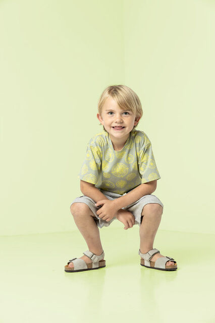 Qjutie - Cotton Jersey - Compass